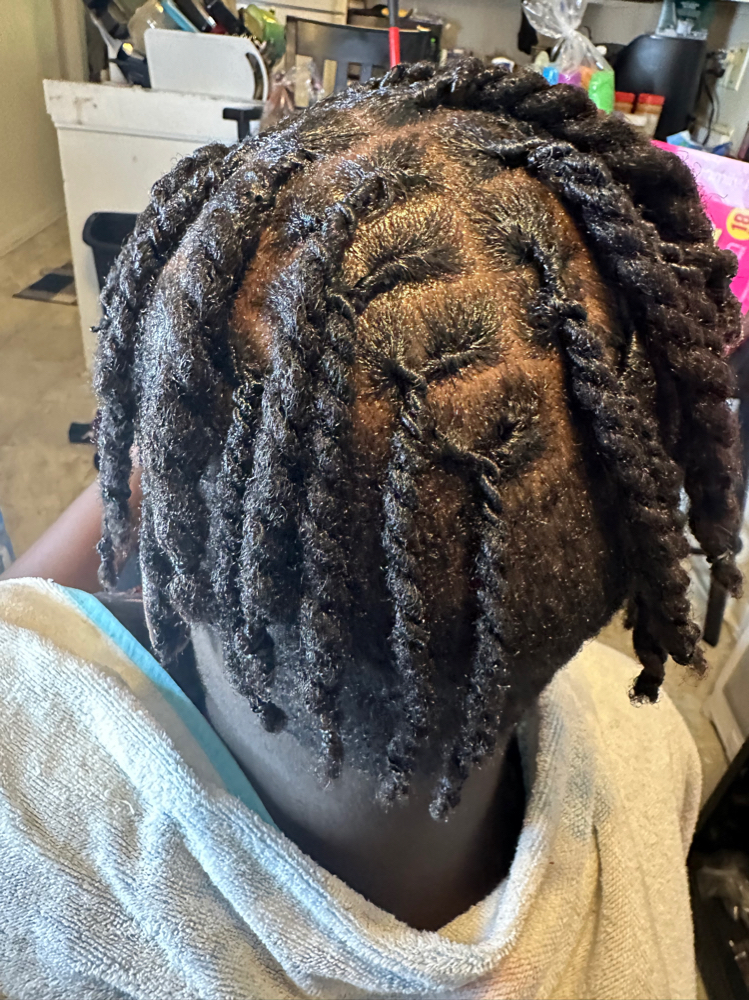 Locs 2 Strand Twist