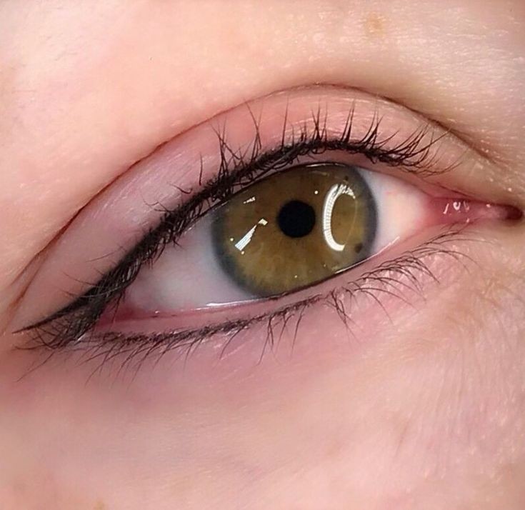 Bottom Eyeliner Enhancement