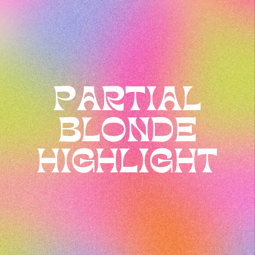 Partial Blonde Highlight