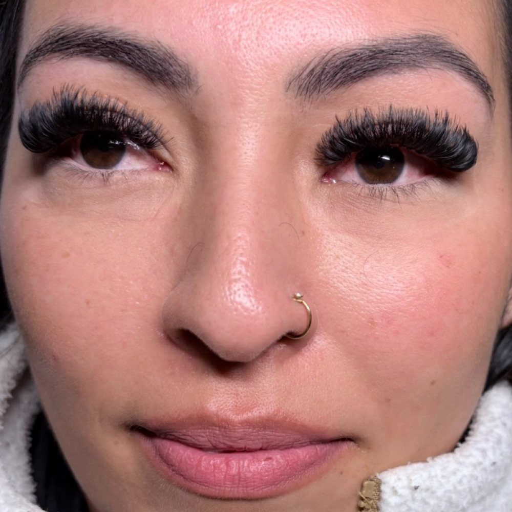 Mega Volume Fill at Lashed 5280 in Brighton, CO