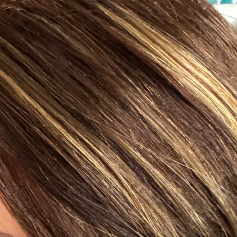 Extension Move Up at Salon Anaj and Botanicals in Webster, TX