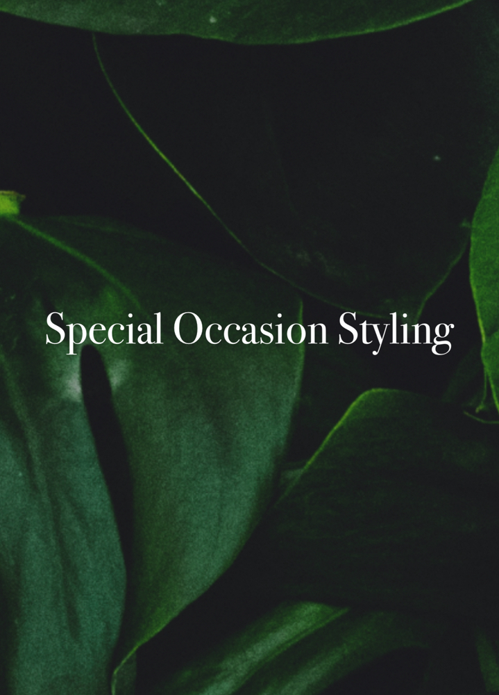 Special Occasion Styling at Anestie Beauty Lounge in Franklin Square, NY