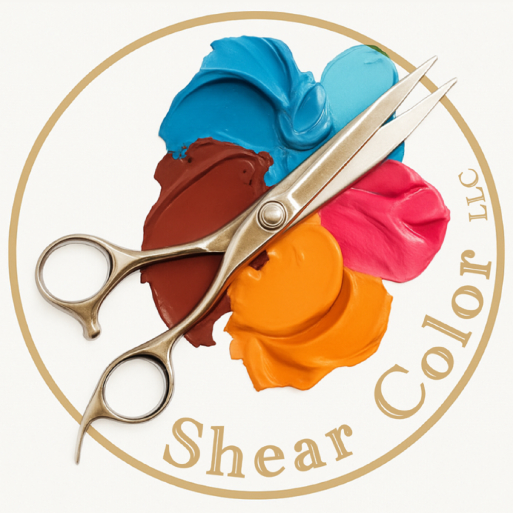 Consultation at Shear Color LLC in Palmer, AK