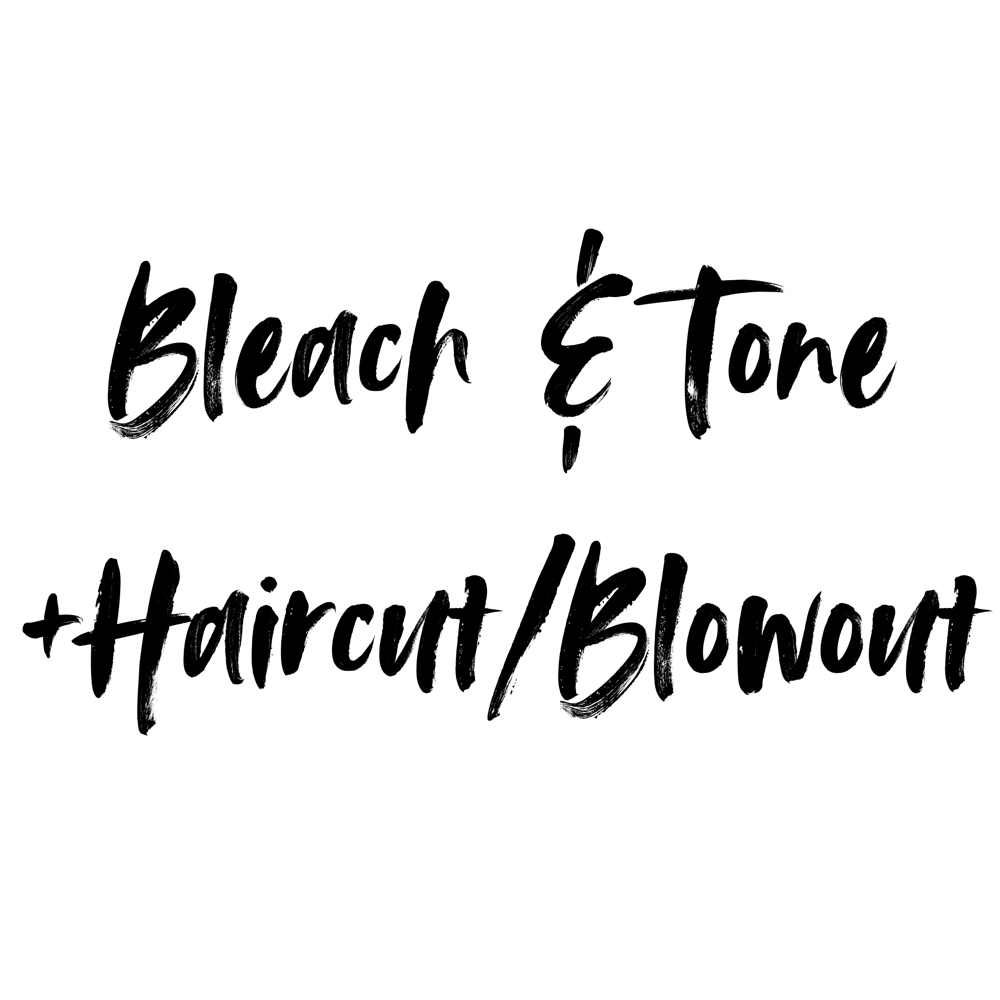 Bleach&Tone+Haircut/Blowout at ROYGBV Creative Hair Design in Woodhaven, MI