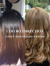 Color Correction