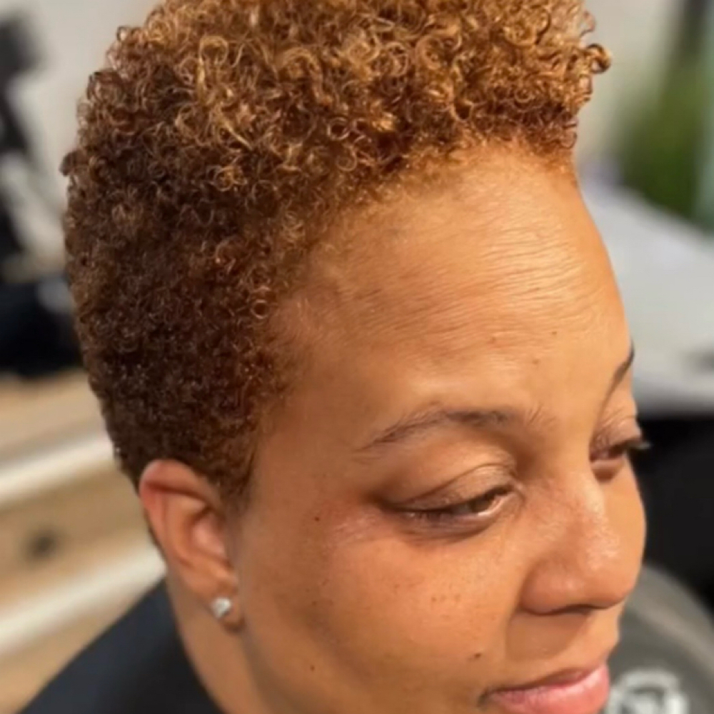 Color Retouch + Cut/Trim (No Style) at Image Is Everything Salon in Mesa, AZ