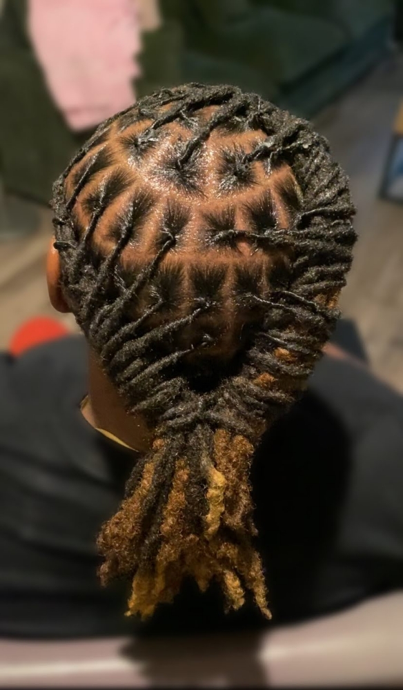 Locs And Retwists