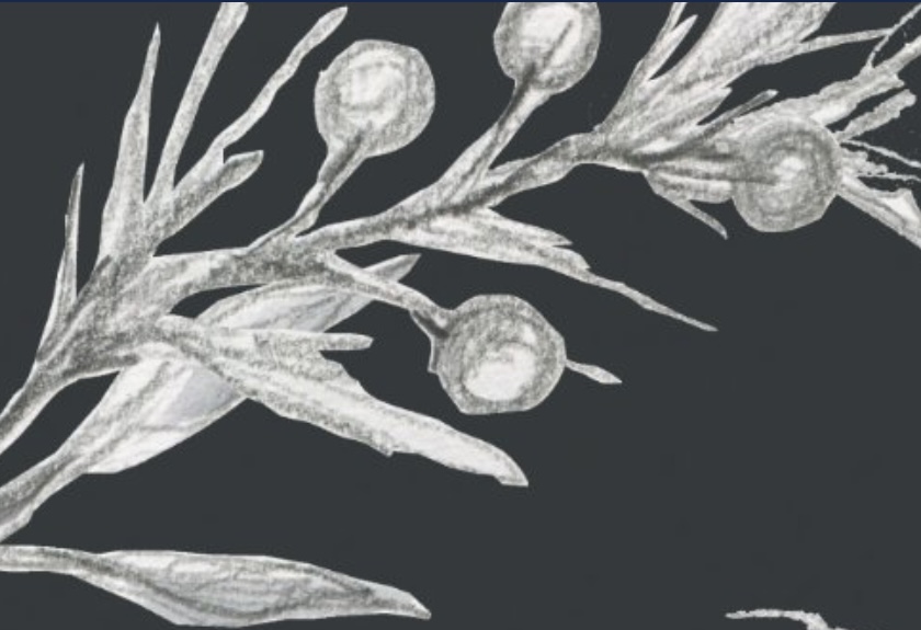 Female Brazilian Wax