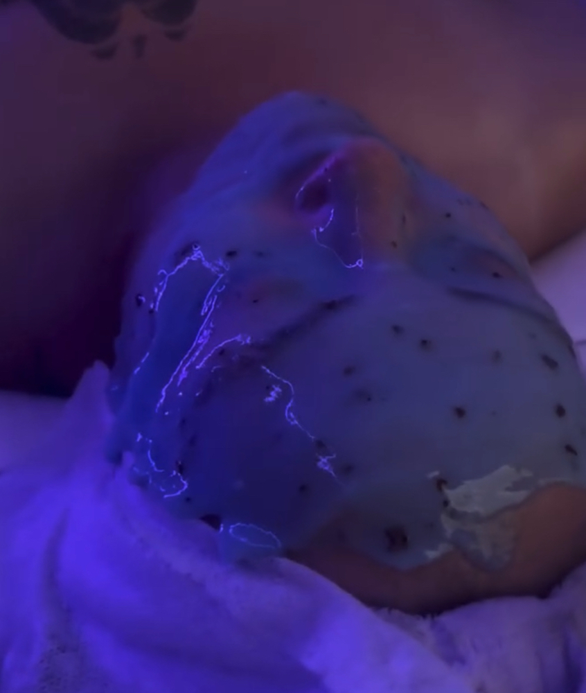 Hydrojelly Mask ( For Facials) at Esties By Lexi in Idaho Falls, ID