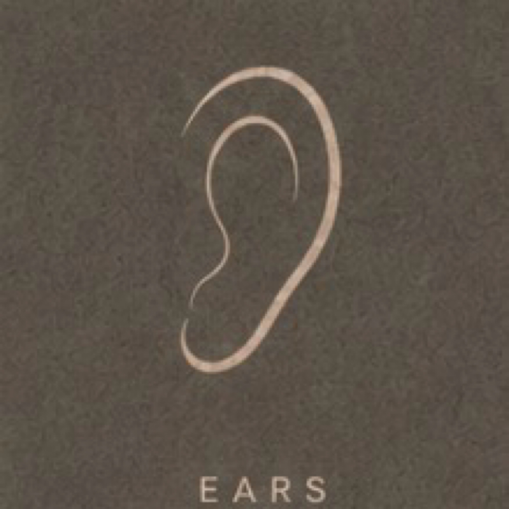 Ears at Elara Glow Studio in El Paso, TX