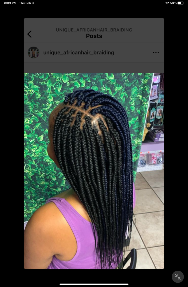 Box Braids - Small/Midback