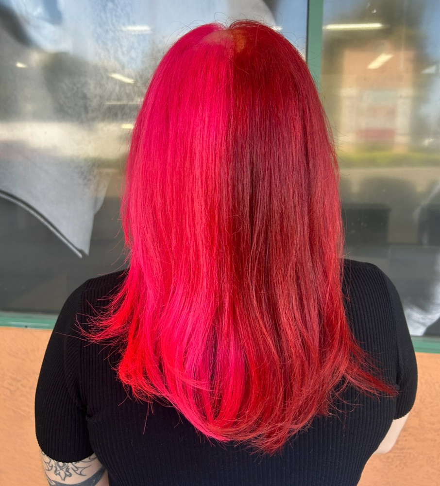 Vivid Color