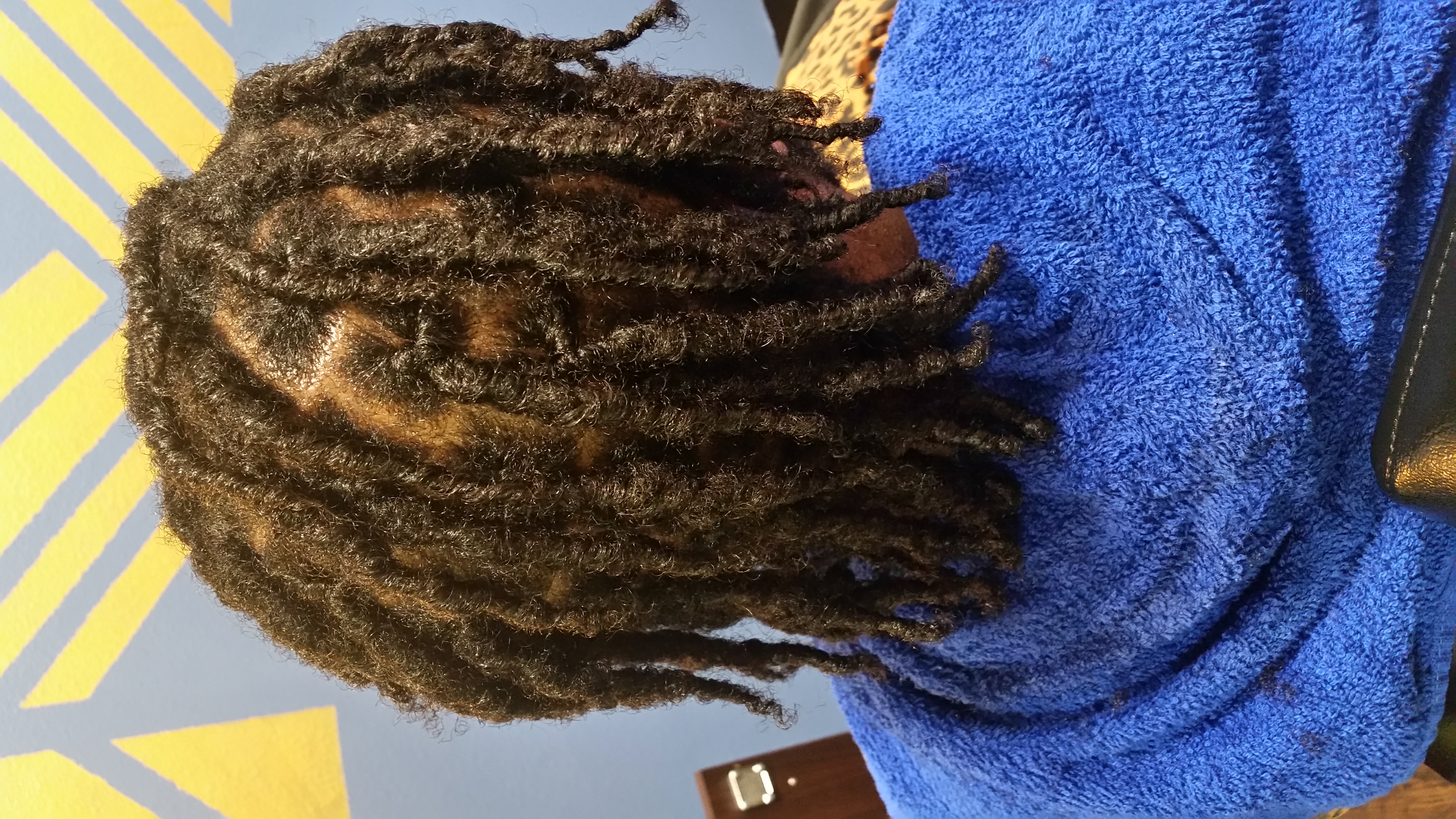 Starter Locs