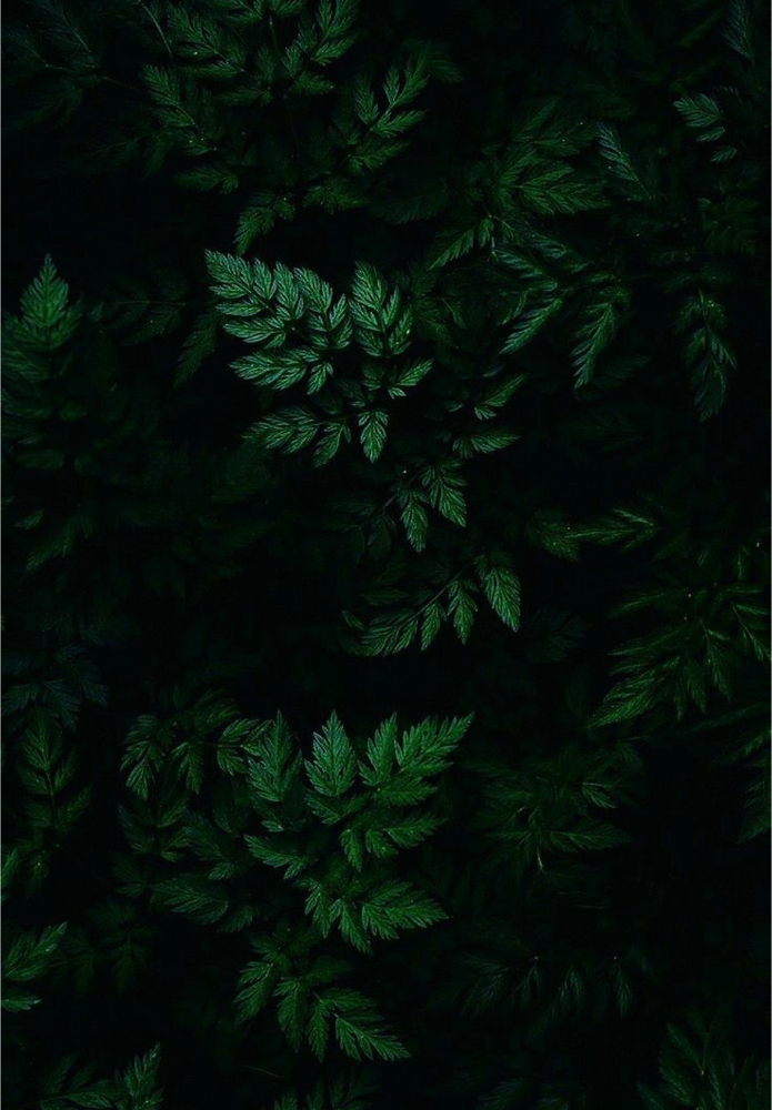 Single Process Color