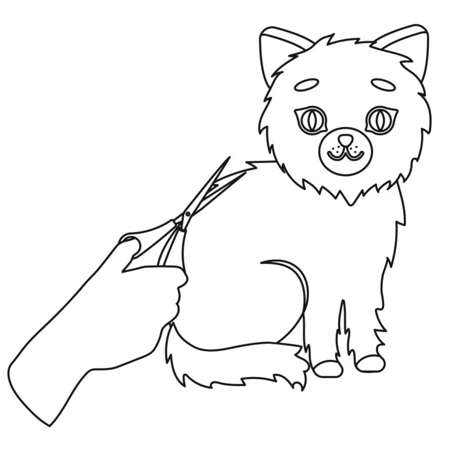 CAT LIONS HAIRCUT PACKAGE