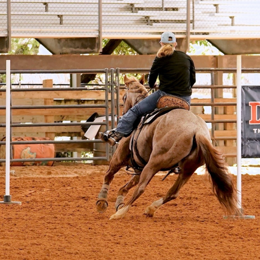 Pole Bending at Lhranch in Avon Park, FL
