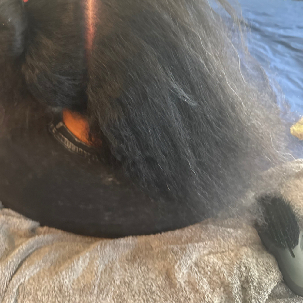 Hair Detangling at Braids By Aurora in Houston, TX