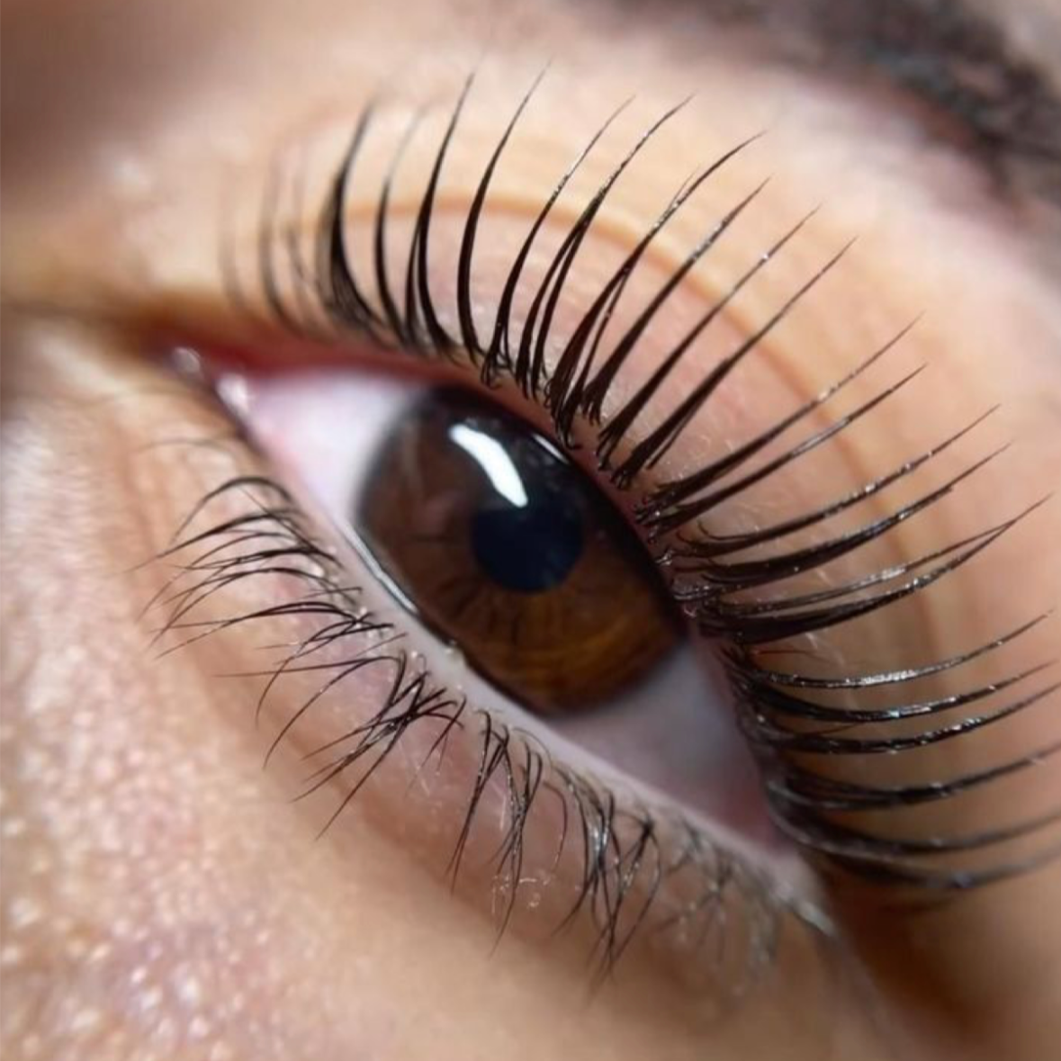 The Korean Lash Lift at The Glo Haus Atlanta in Atlanta, GA