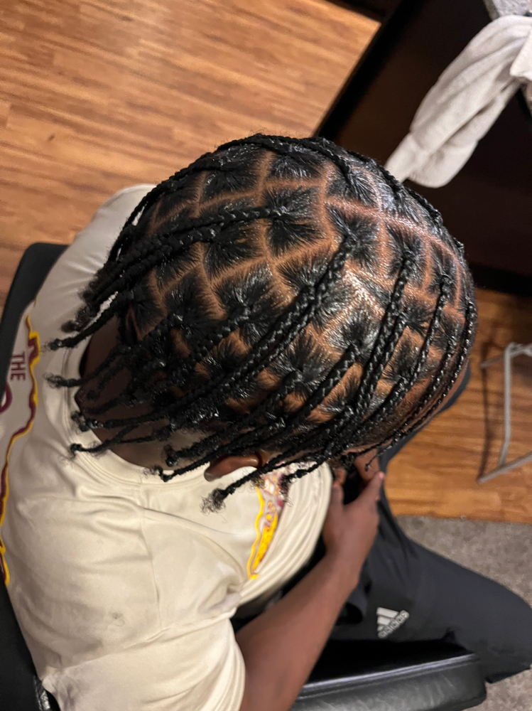 Braids/Twists On Natural Hair