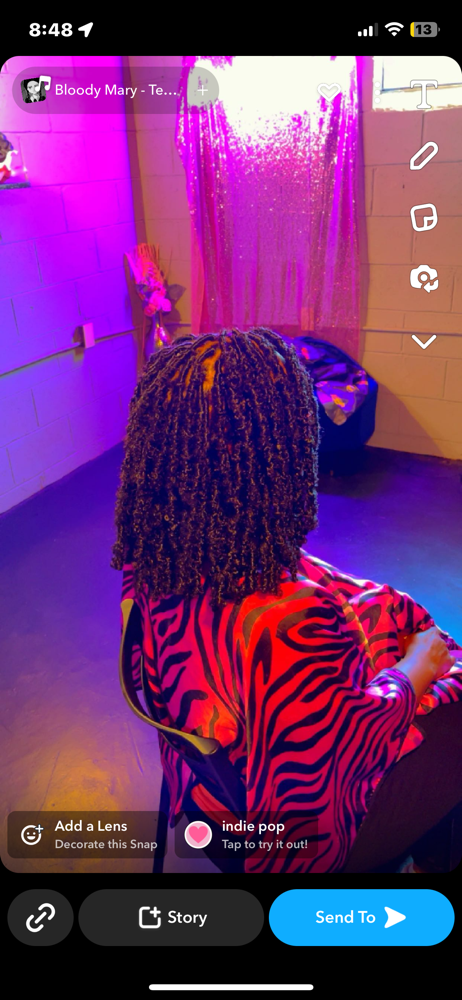 Butterfly Locs
