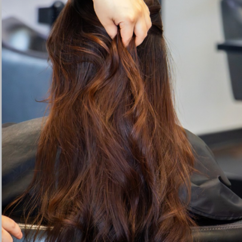 Root Touch-up,Haircut ,& Blowdry at Shears By Friends in Palmdale, CA