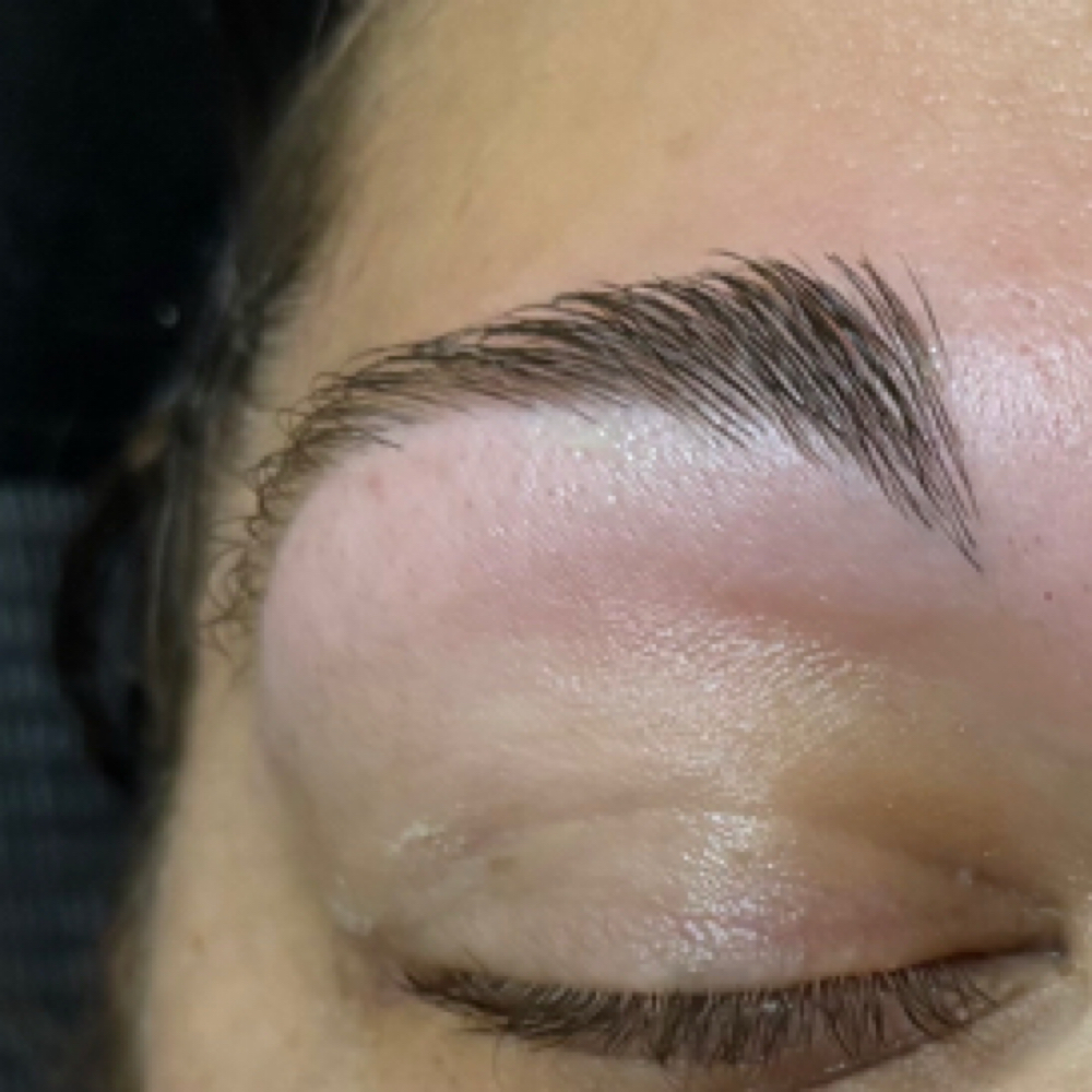 Brow Wax at Elegance Beauty Spa in Anderson, IN