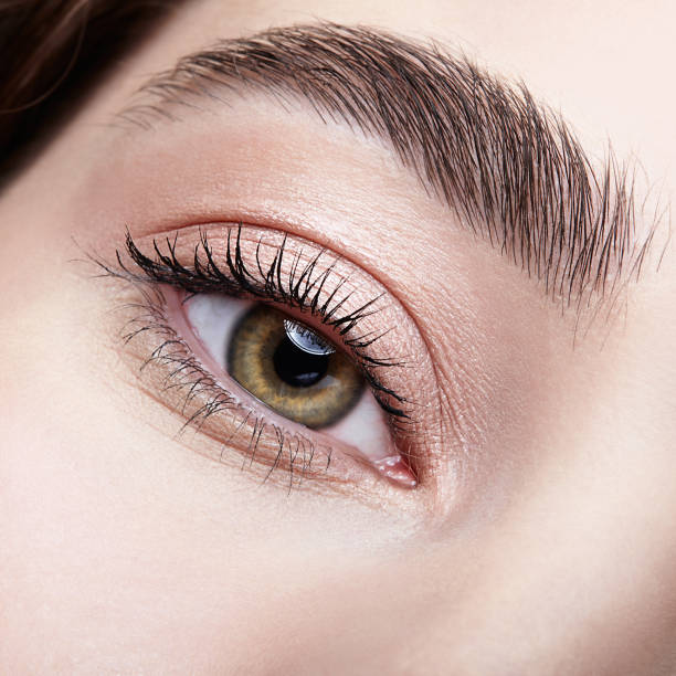 BROW TINT