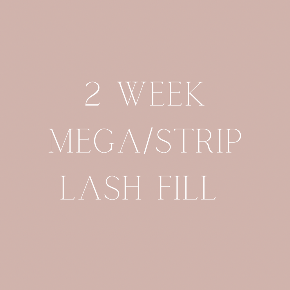 2 Week Mega/Strip Lash Fill