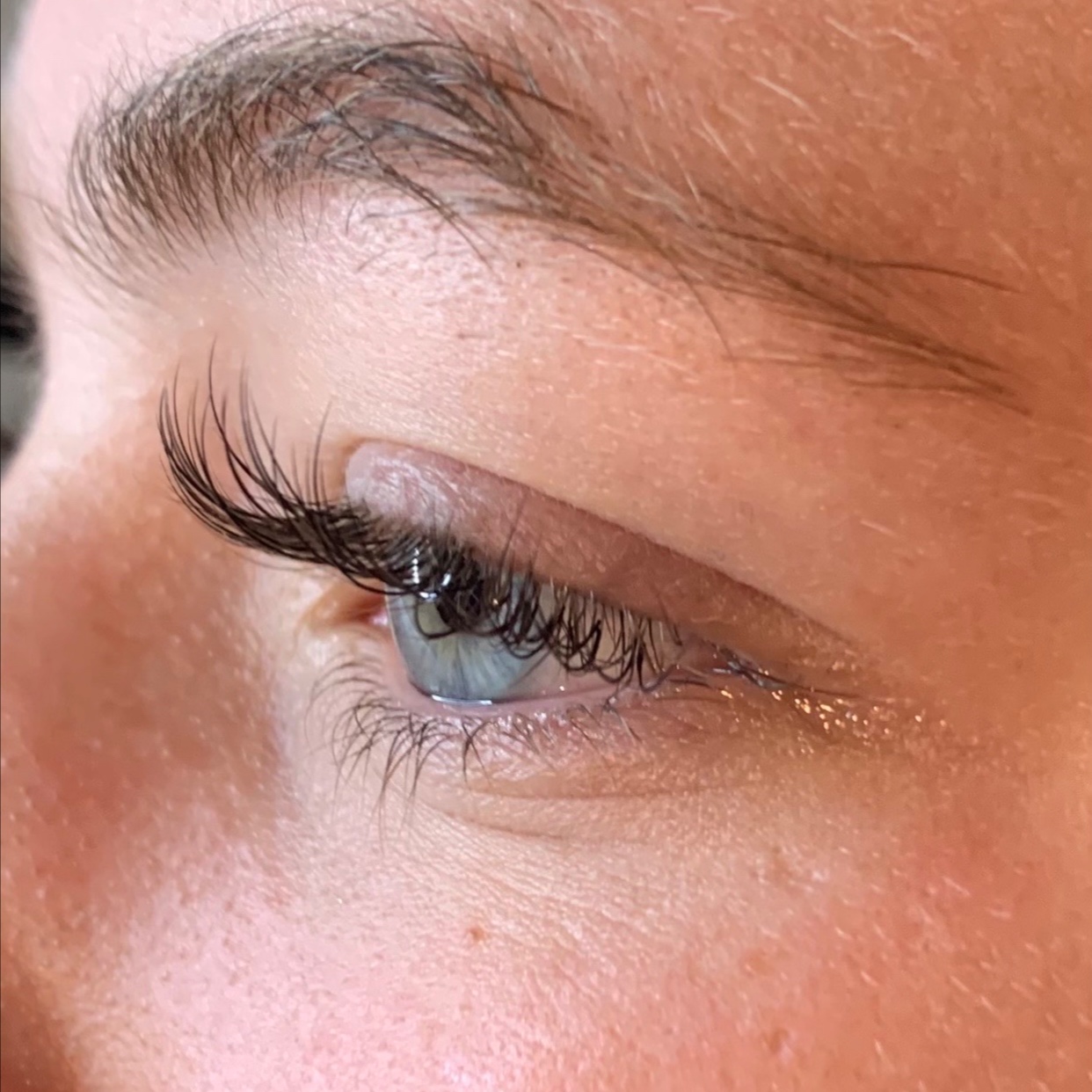 "Classic" Regular Fill