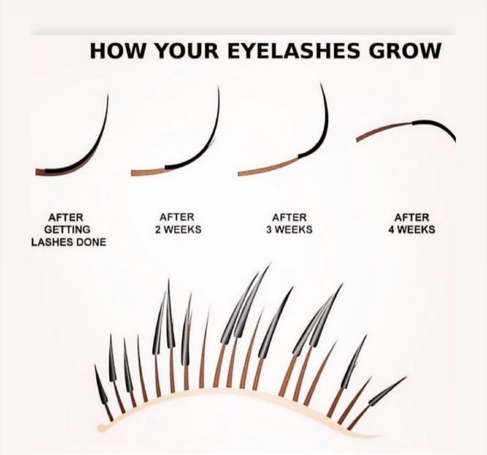 Ellipse Lash 3 Week Fill $70