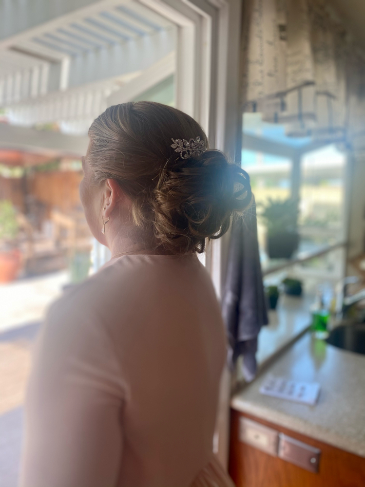 high ponytail (updo)