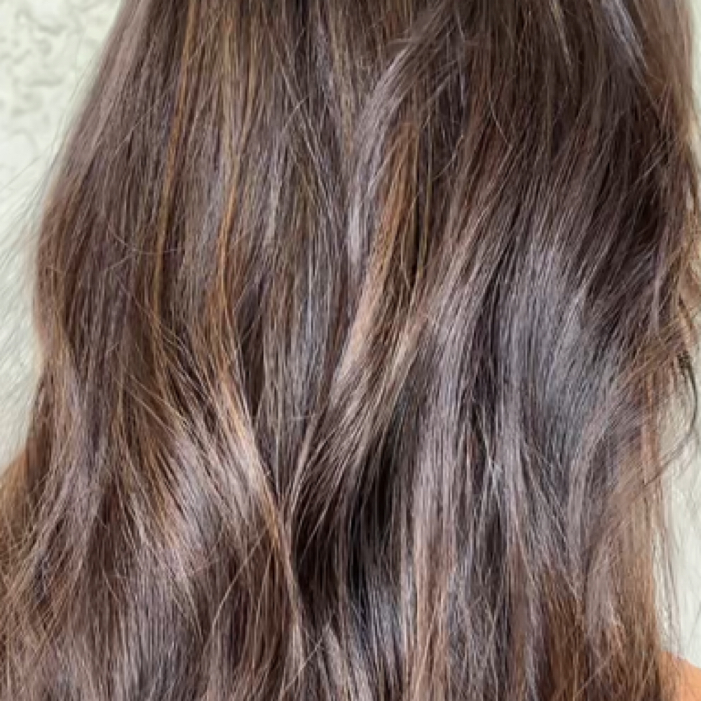 Color Balance & Haircut at Sólane by Shailee in Naples, FL