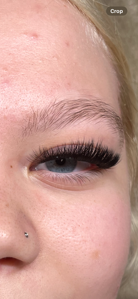Lash Fill - 3 Weeks