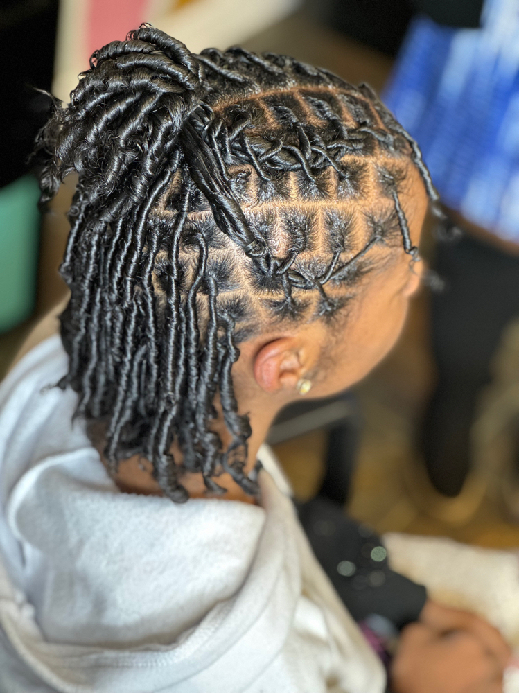 Starter Locs (Comb Coils)