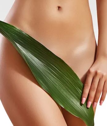 Bikini Wax
