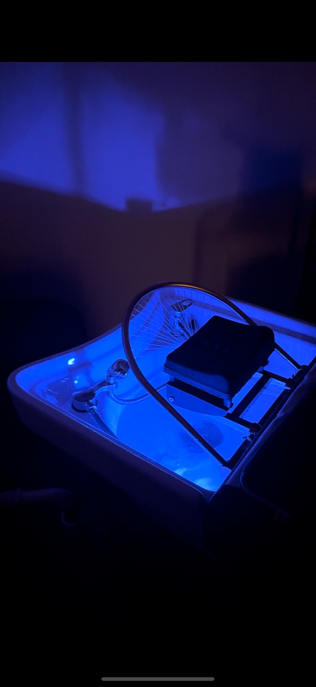 Hydration Oasis