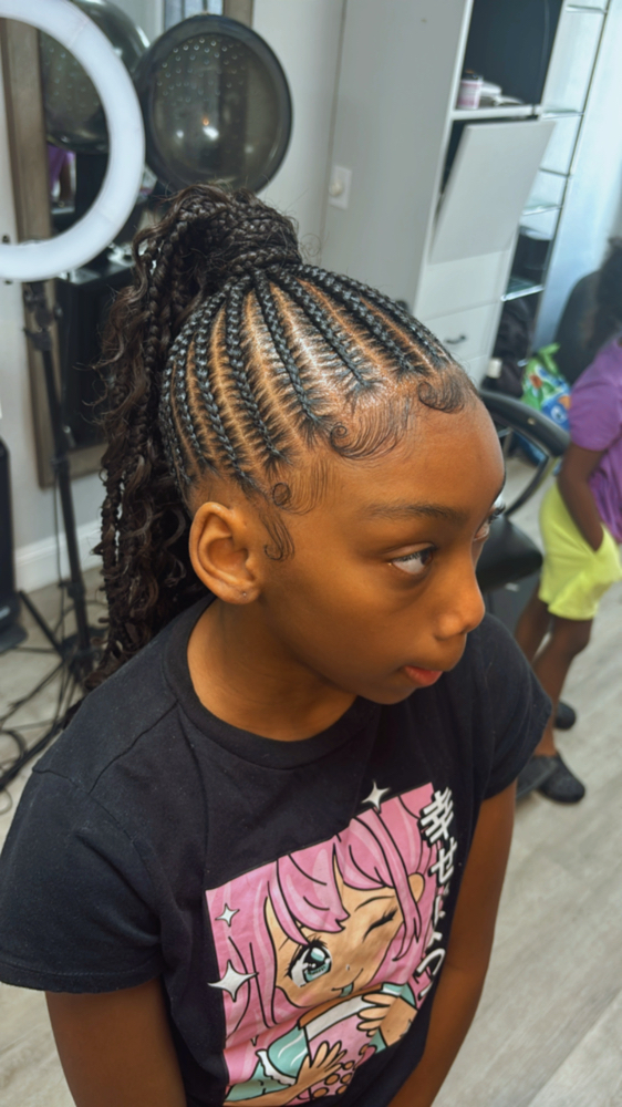 Small Braided Ponytail at Bri Braids in Berkeley, MO