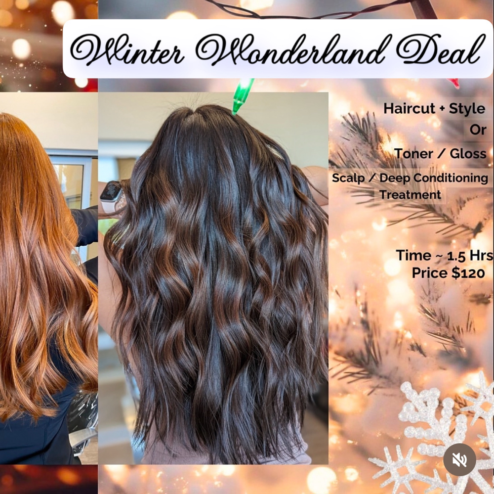 Winter Wonderland Deal