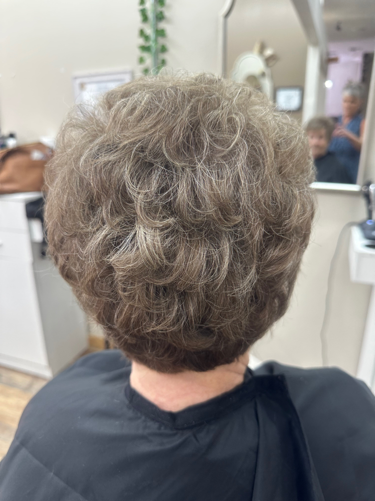 Shampoo Blowdry Style at Hair Artistry By Bethann in Leesburg, FL