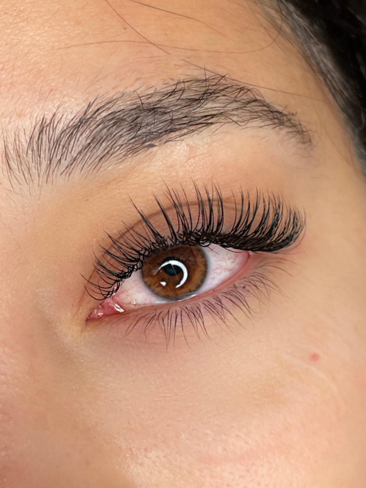 Classic Fill (2-3 Weeks)