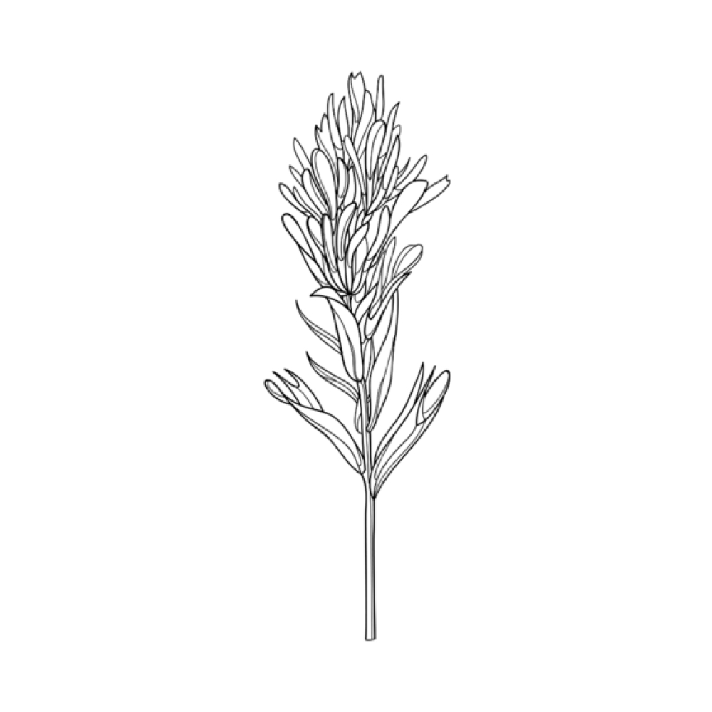 Hair Cut +65 at Eye Candy Beauty in Magna, UT