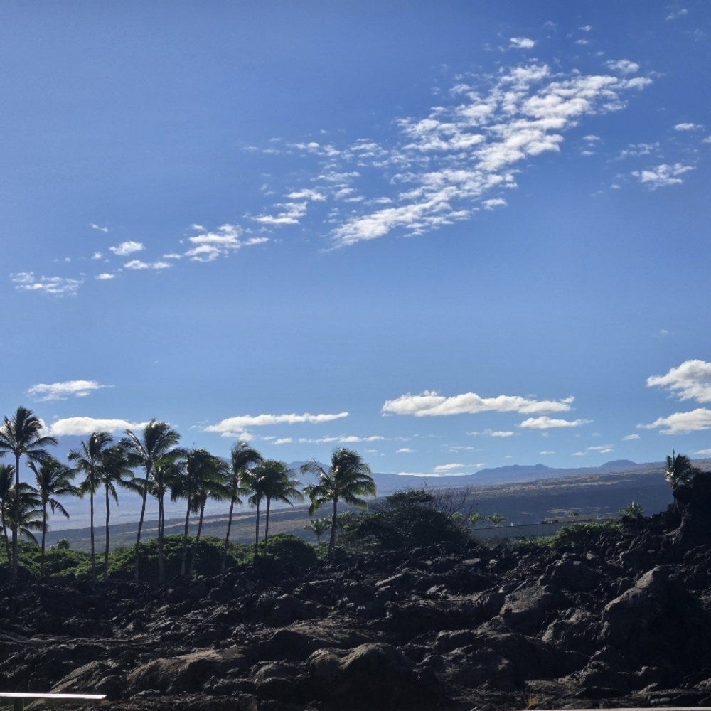 🌸 Spring Reiki Reset

Mind • Body at Soulful Zen Healing and Esthetics LLC in Wasilla, AK