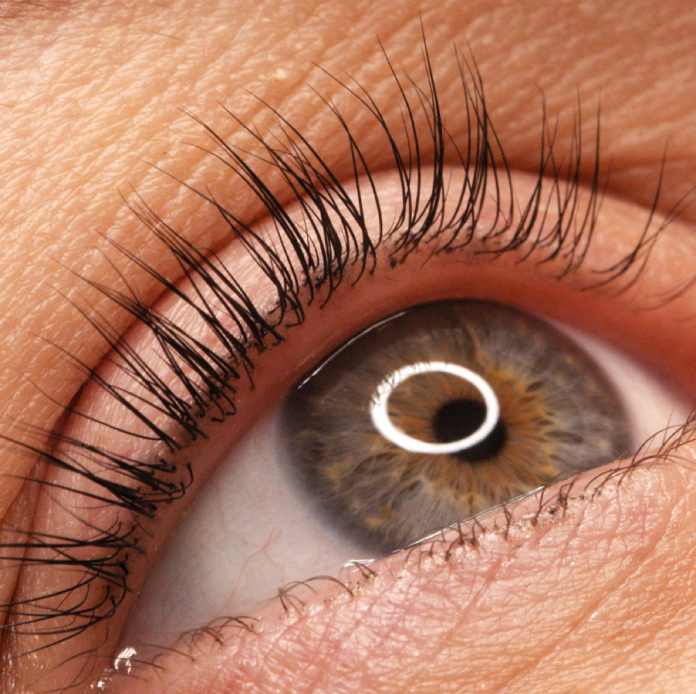 Lashes- Natural at Sunflower on 6th in Newton, KS