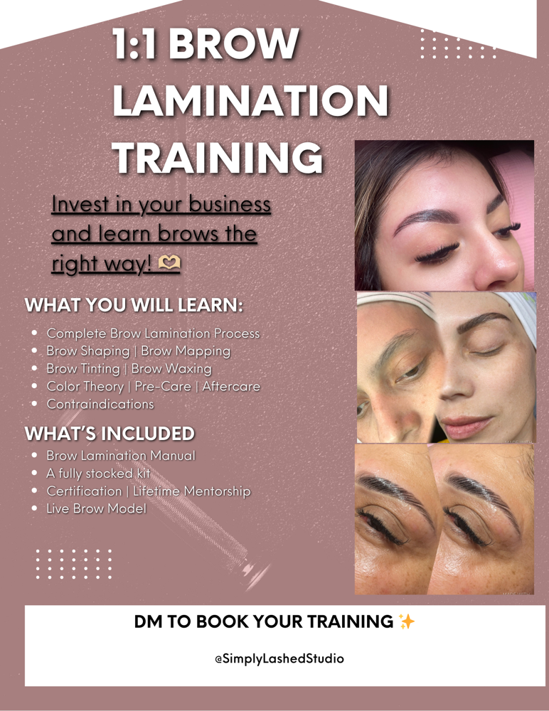 Brow Lami, Shaping, Tint Training