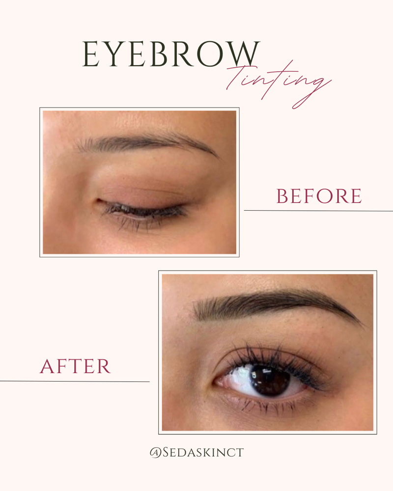 Seda Stained Brows