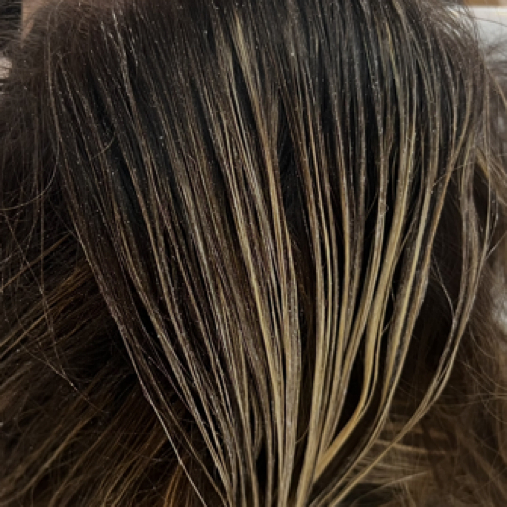 Base Color & Soft Blonding at Lucky Mane in Franklin, TN