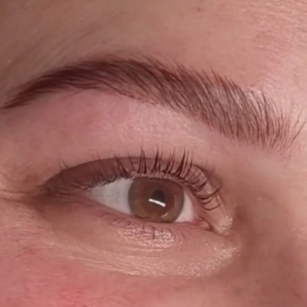 Brow Lamination & Tint at Bare Skin & Body Spa, LLC in St.Louis, MO