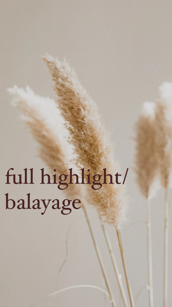 Full Highlight/ Balayage