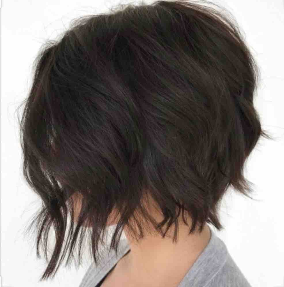 Color Touch Up +  Deep Conditioning