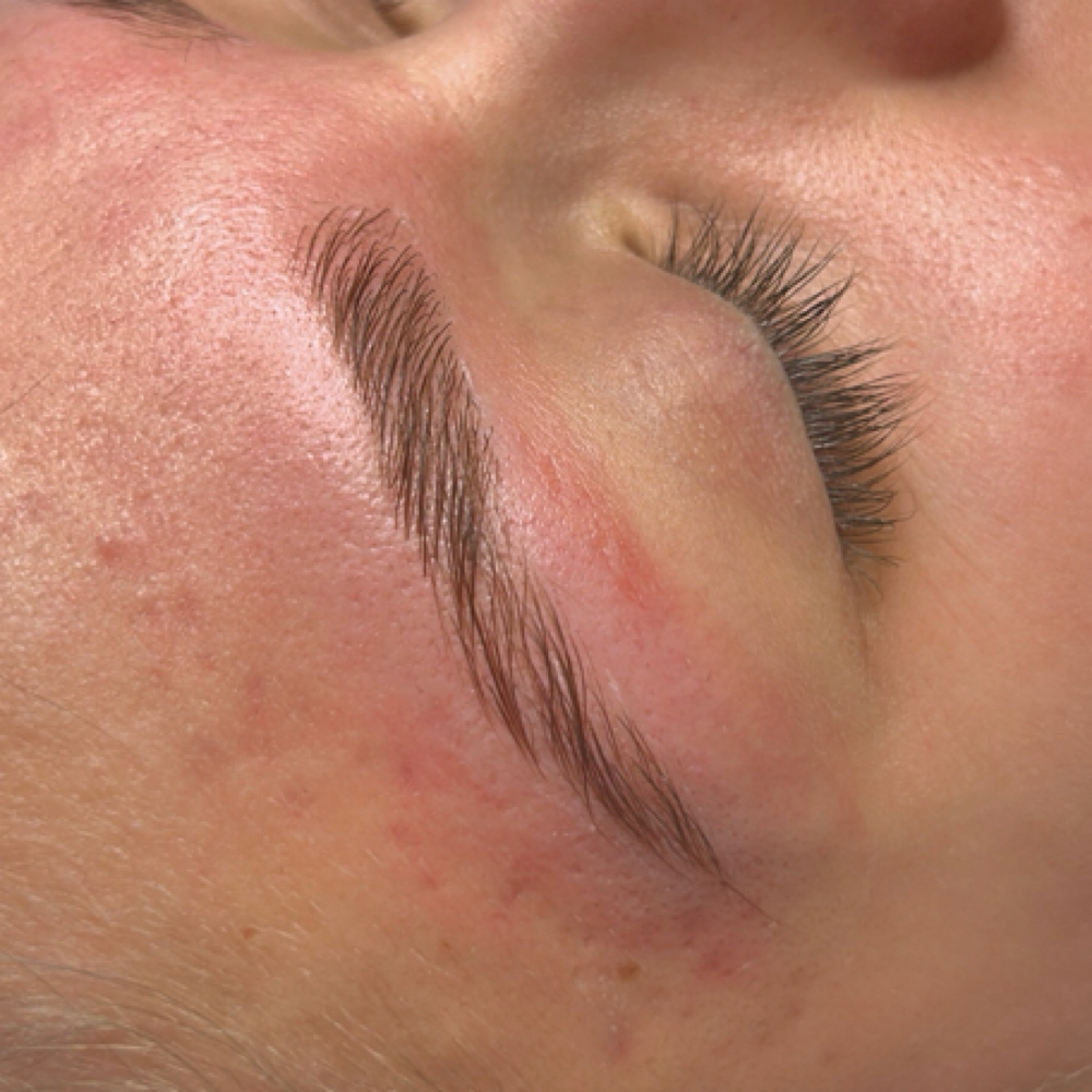 Eyebrow Wax at Not the Body Shop in Littleton, CO